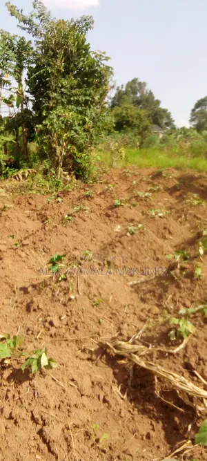 Plot at Mende 6m