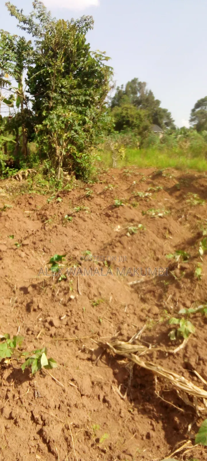 Plot at Mende 6m