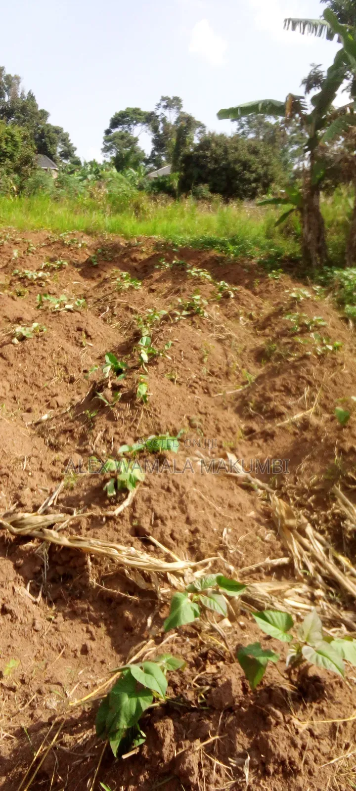 Plot at Mende 6m