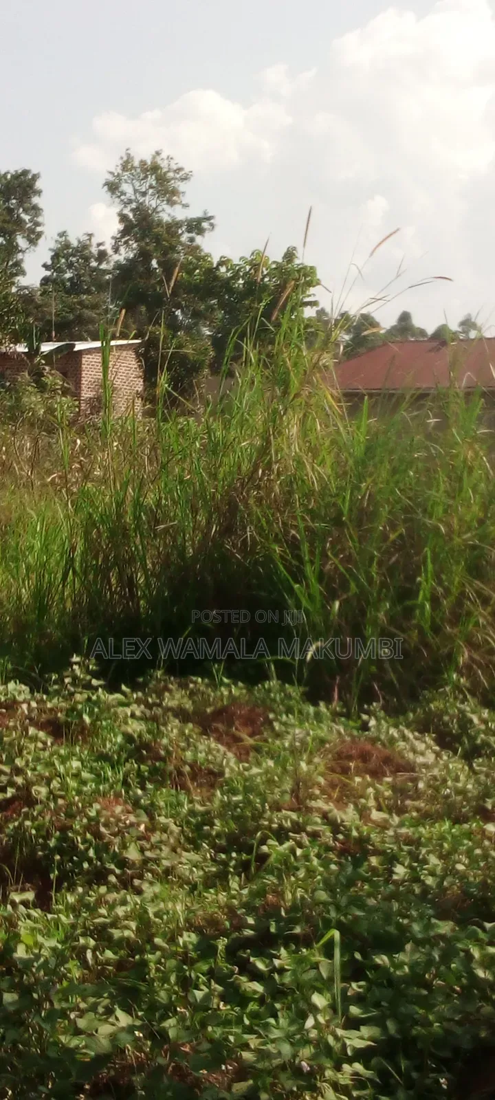 Plot at Mende 6m