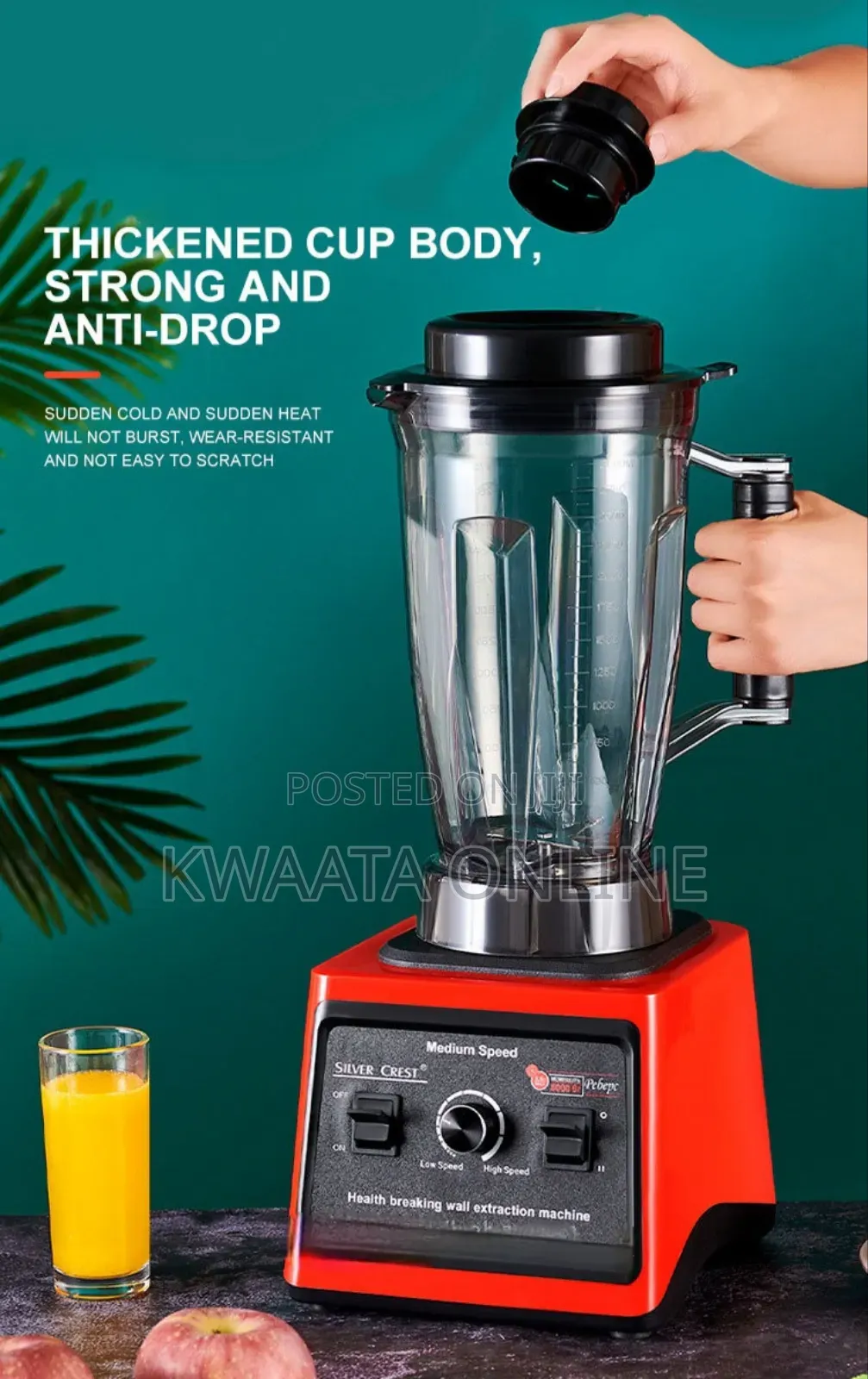 3 Litres Silver Crest Commercial Blender 2 in 1, 800w