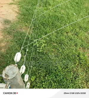 Electric Fence on a Livestock Farm