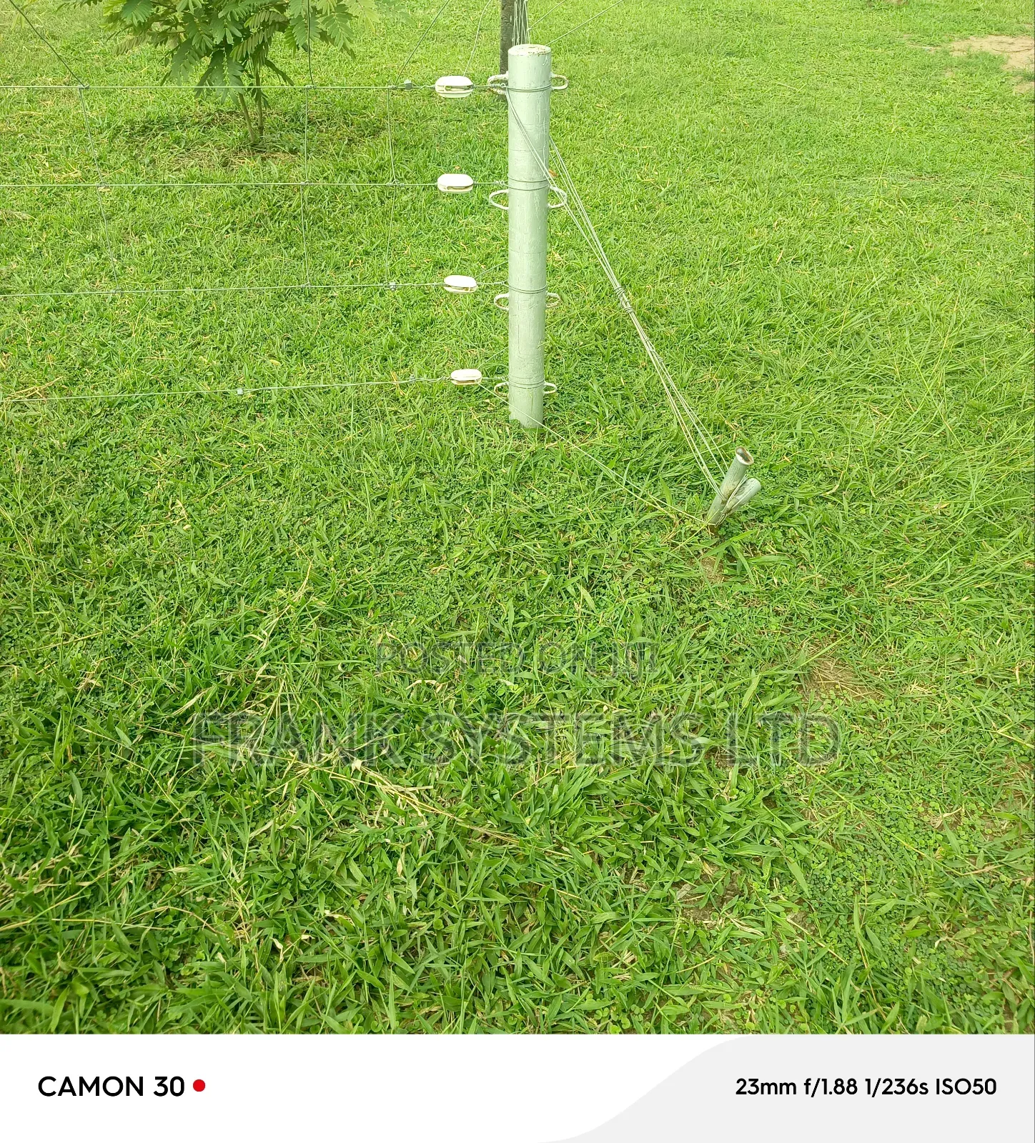 Electric Fence on a Livestock Farm