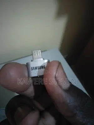 Samsung Silver Otg