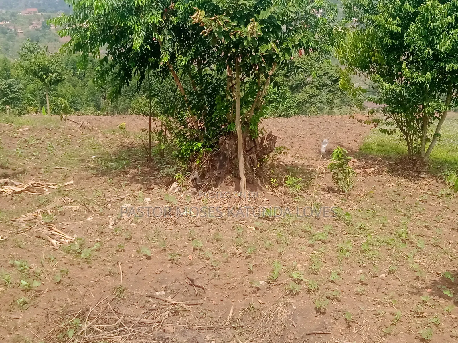 2 Acre at Mpigi Quick Sale Kabila Mpigi