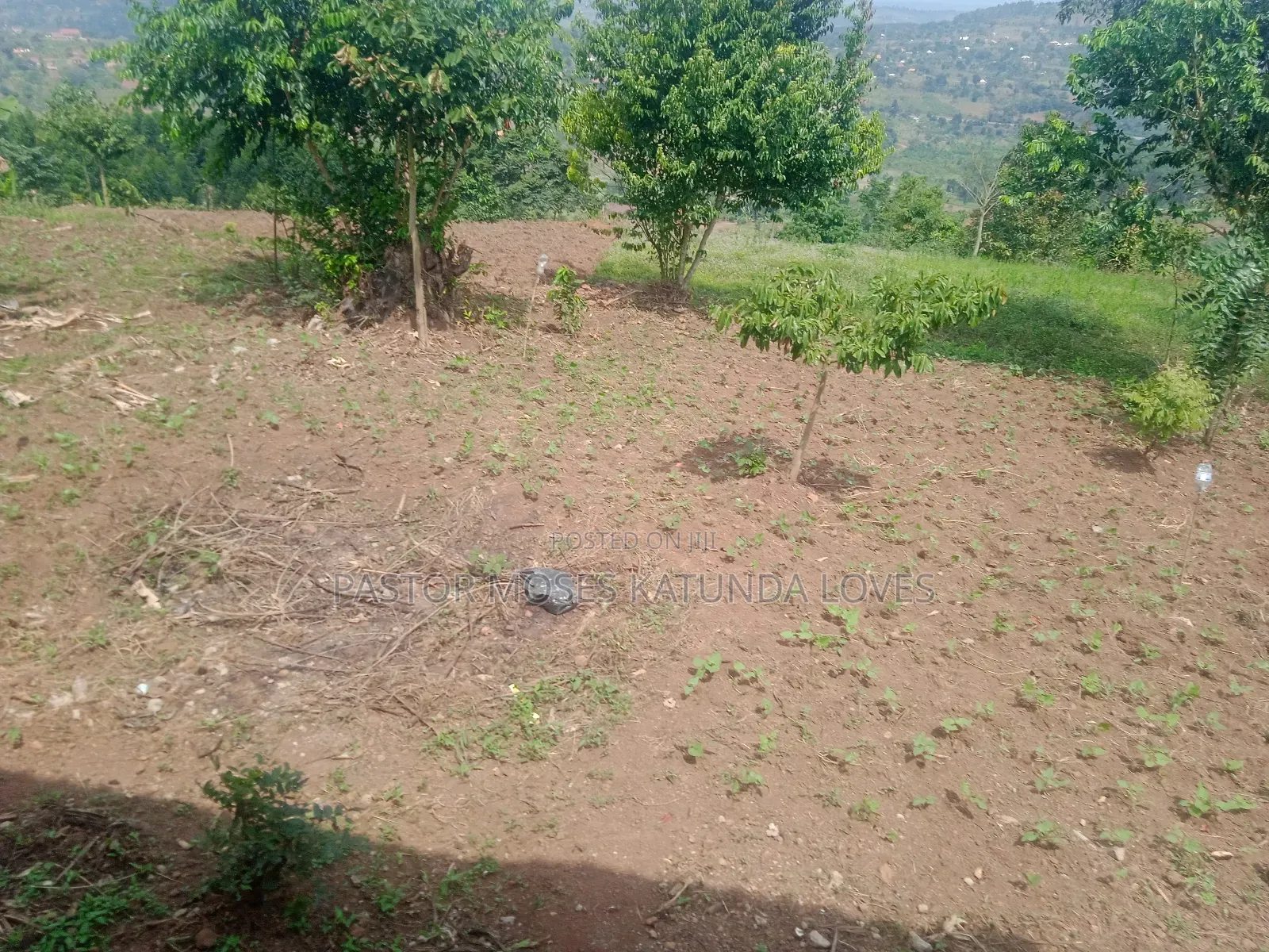 2 Acre at Mpigi Quick Sale Kabila Mpigi