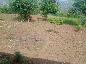 2 Acre at Mpigi Quick Sale Kabila Mpigi