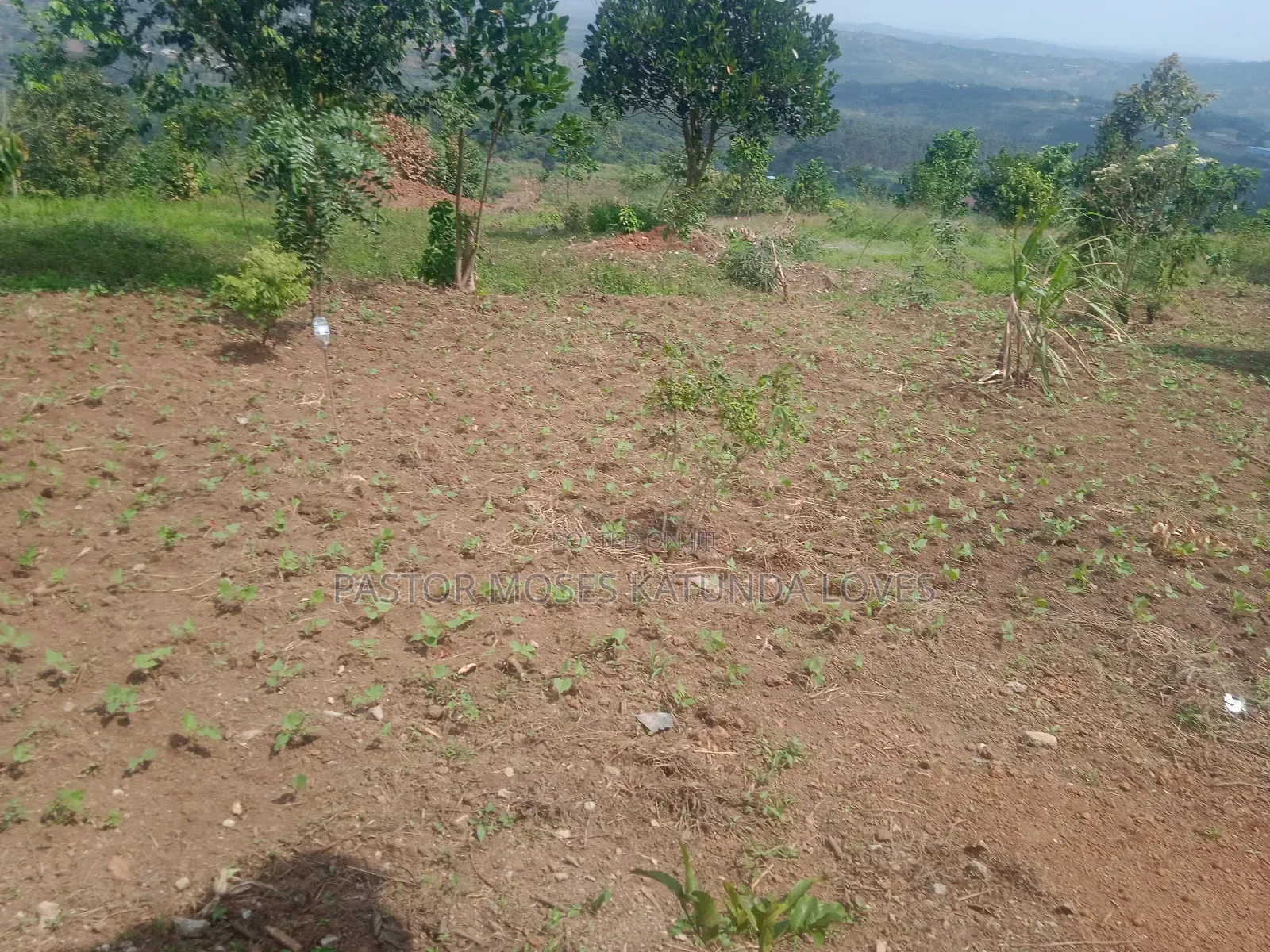 2 Acre at Mpigi Quick Sale Kabila Mpigi