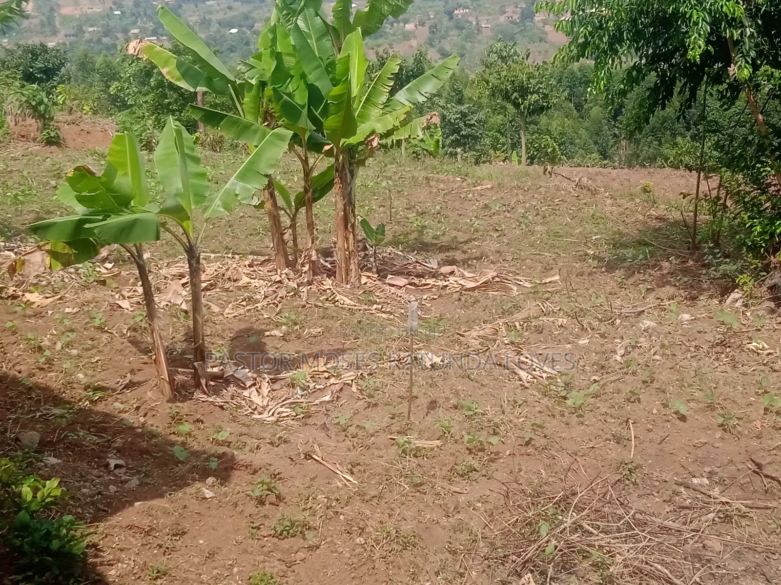 2 Acre at Mpigi Quick Sale Kabila Mpigi