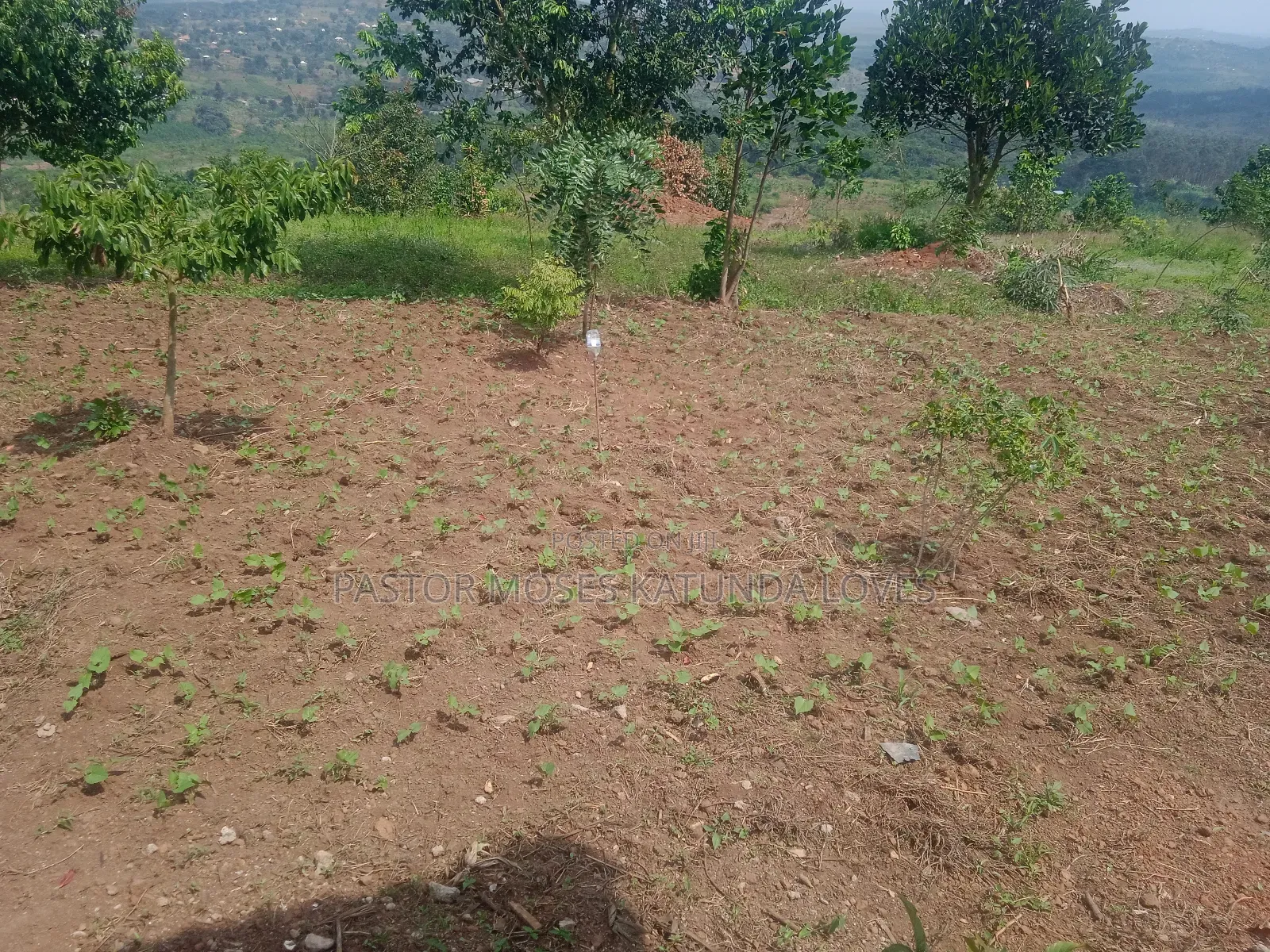 2 Acre at Mpigi Quick Sale Kabila Mpigi