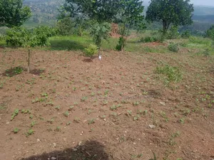 2 Acre at Mpigi Quick Sale Kabila Mpigi