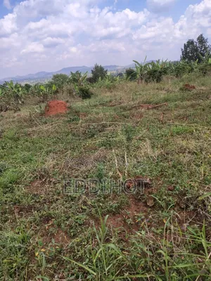 Plots For Sale In Namagera Wakiso District 3km From Hoima Road