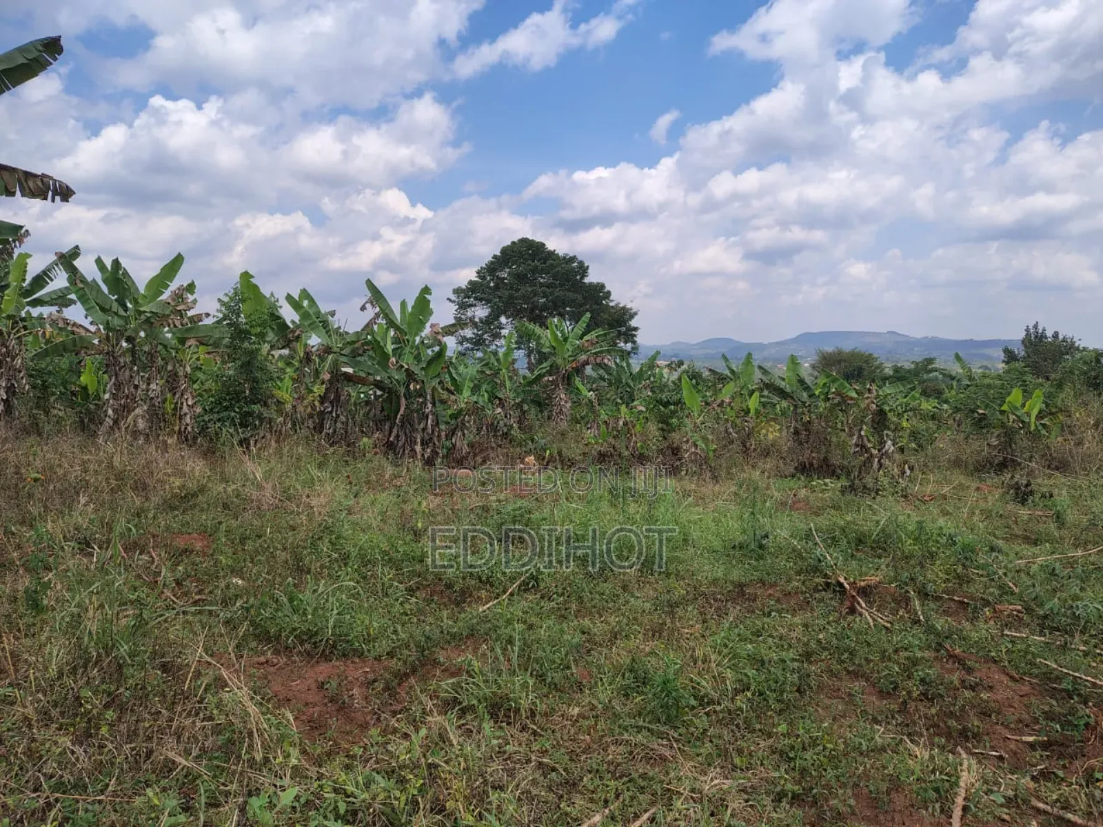 Plots For Sale In Namagera Wakiso District 3km From Hoima Road