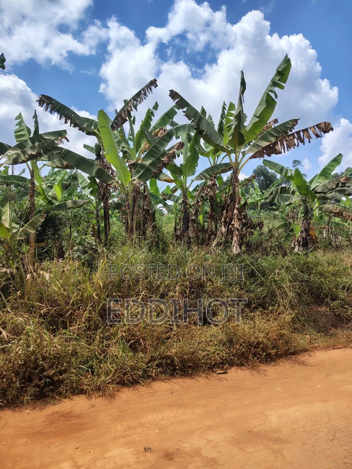 Plots For Sale In Namagera Wakiso District 3km From Hoima Road