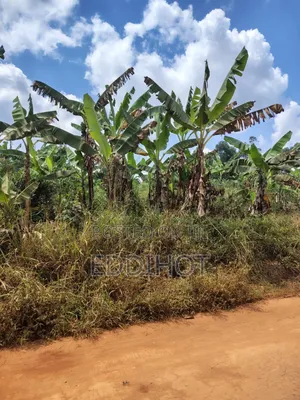 Plots For Sale In Namagera Wakiso District 3km From Hoima Road