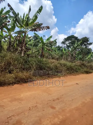 Plots For Sale In Namagera Wakiso District 3km From Hoima Road