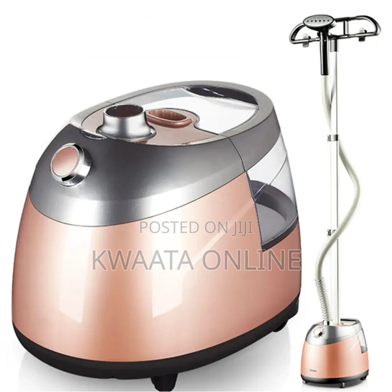 DSP Professional Vertical Garment Steamer, Steam Press Iron Handheld
