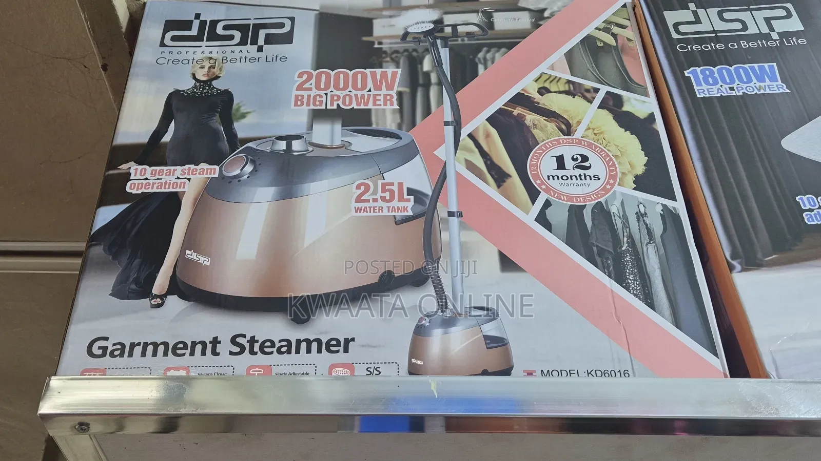 DSP Professional Vertical Garment Steamer, Steam Press Iron Handheld