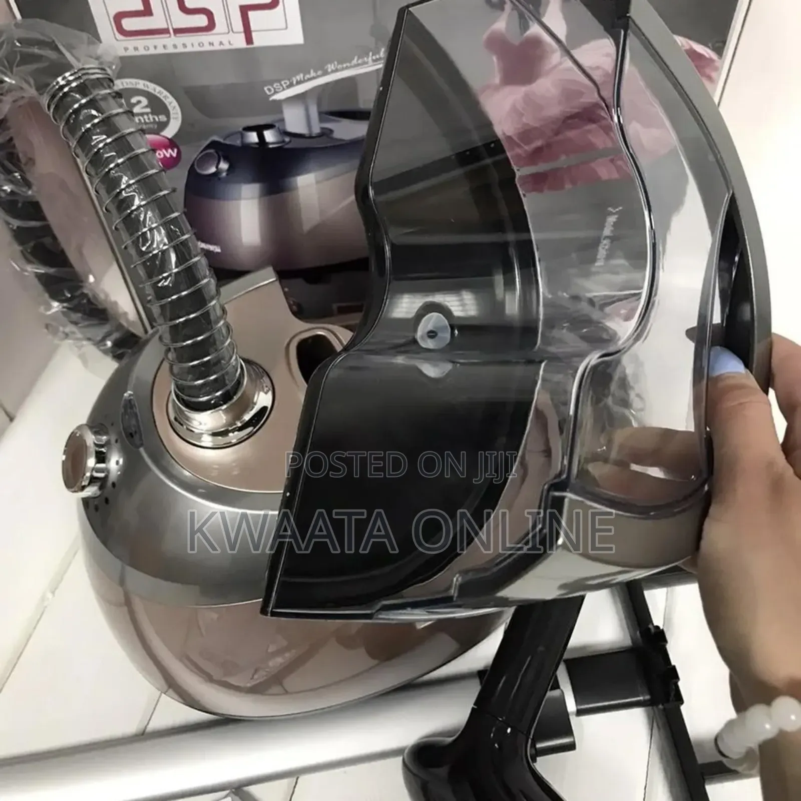 DSP Professional Vertical Garment Steamer, Steam Press Iron Handheld