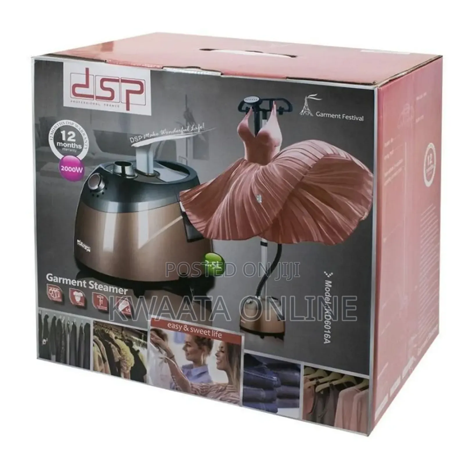 DSP Professional Vertical Garment Steamer, Steam Press Iron Handheld
