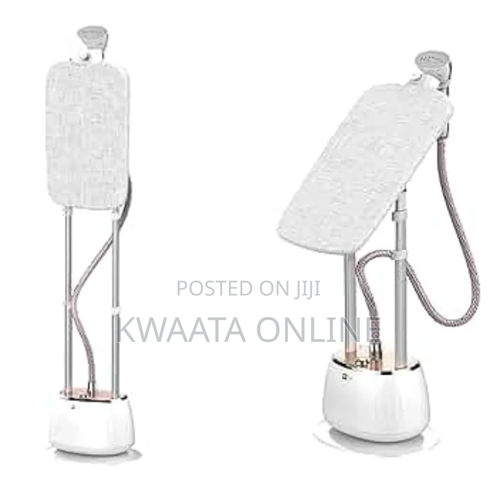 DSP Professional Heavy Duty Garment Steamer,10 Steam Levels 1800w Kd