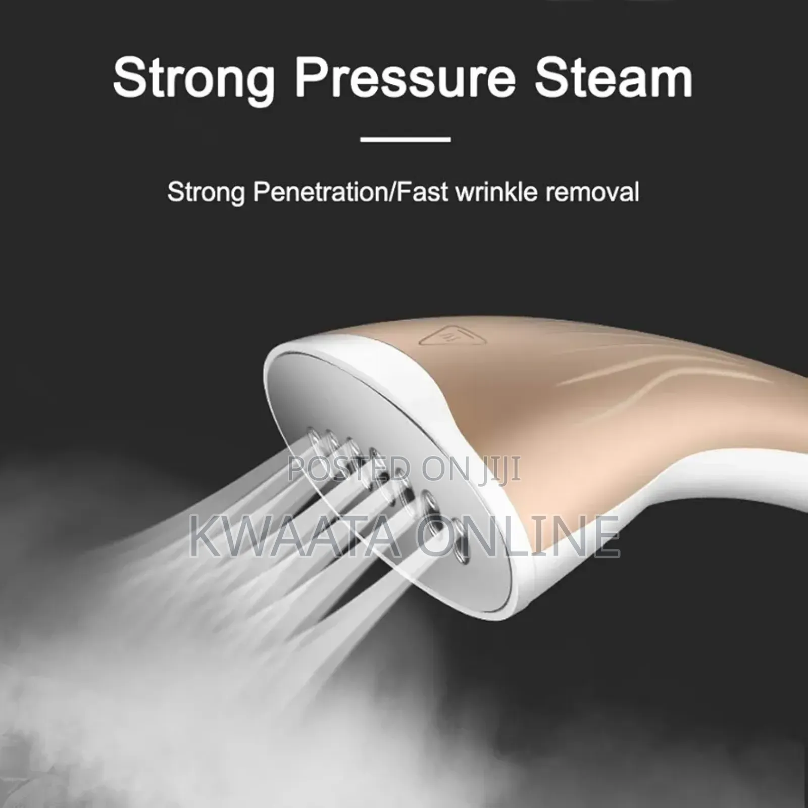 DSP Professional Heavy Duty Garment Steamer,10 Steam Levels 1800w Kd