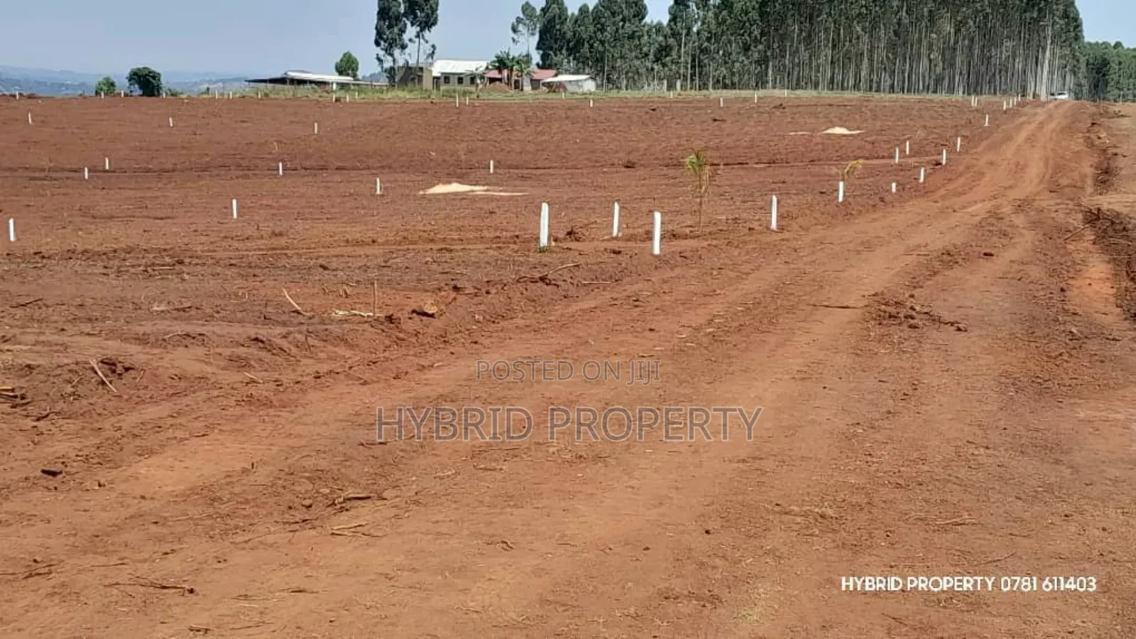Prime Plots for Sale at Mpigi~Nsamizi Namiryango Hill View Land Estate