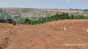 Prime Plots for Sale at Mpigi~Nsamizi Namiryango Hill View Land Estate