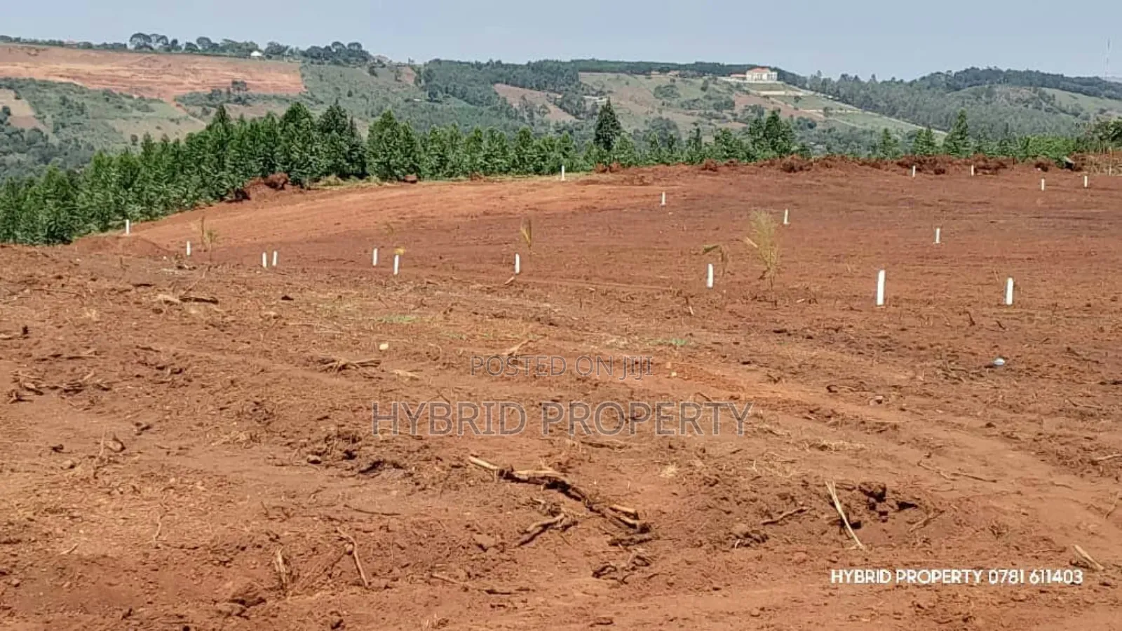 Prime Plots for Sale at Mpigi~Nsamizi Namiryango Hill View Land Estate