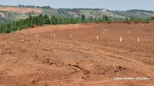 Prime Plots for Sale at Mpigi~Nsamizi Namiryango Hill View Land Estate