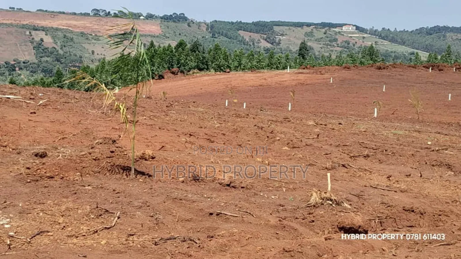 Prime Plots for Sale at Mpigi~Nsamizi Namiryango Hill View Land Estate