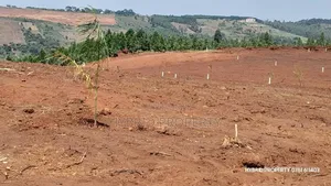 Prime Plots for Sale at Mpigi~Nsamizi Namiryango Hill View Land Estate