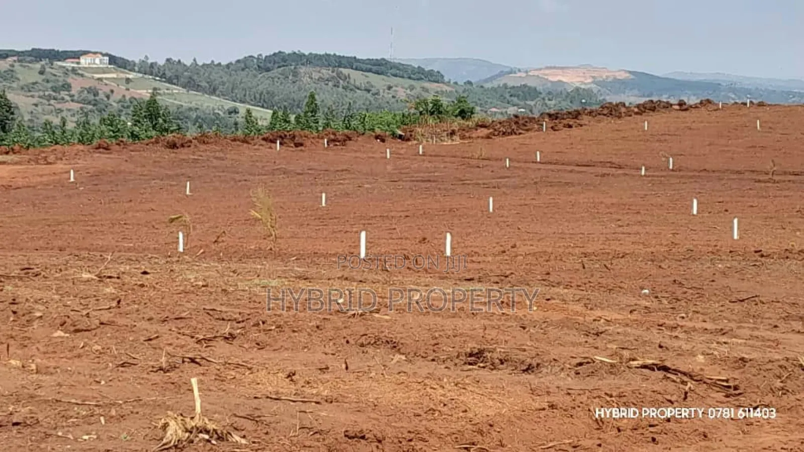 Prime Plots for Sale at Mpigi~Nsamizi Namiryango Hill View Land Estate