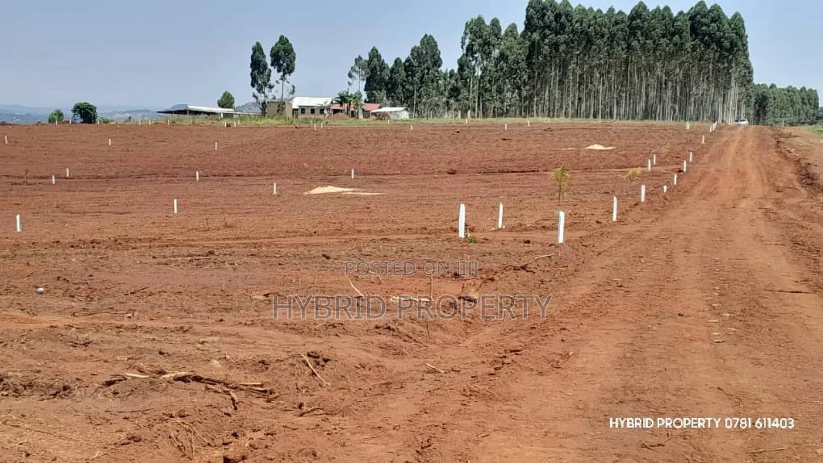 Prime Plots for Sale at Mpigi~Nsamizi Namiryango Hill View Land Estate