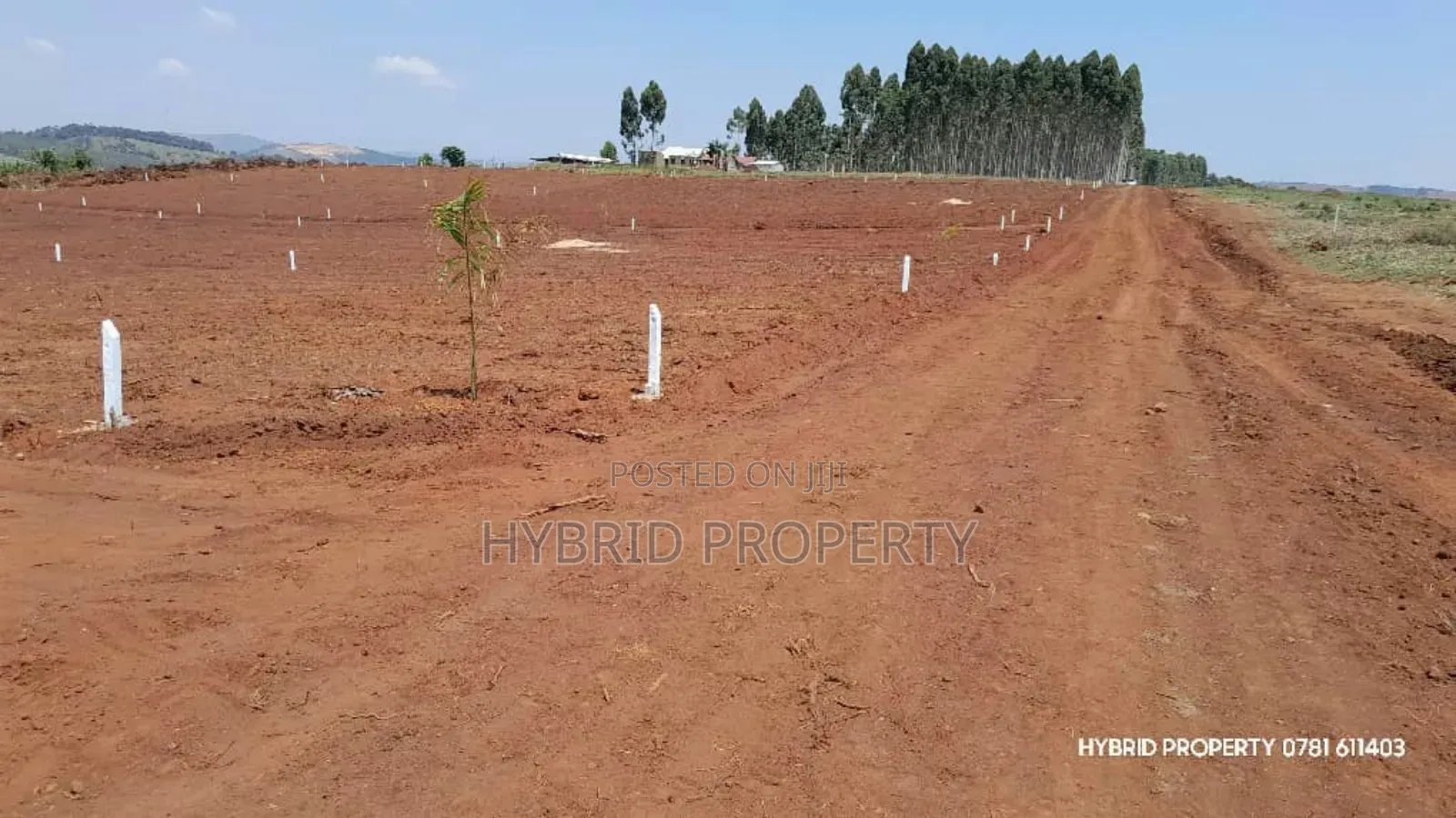 Prime Plots for Sale at Mpigi~Nsamizi Namiryango Hill View Land Estate