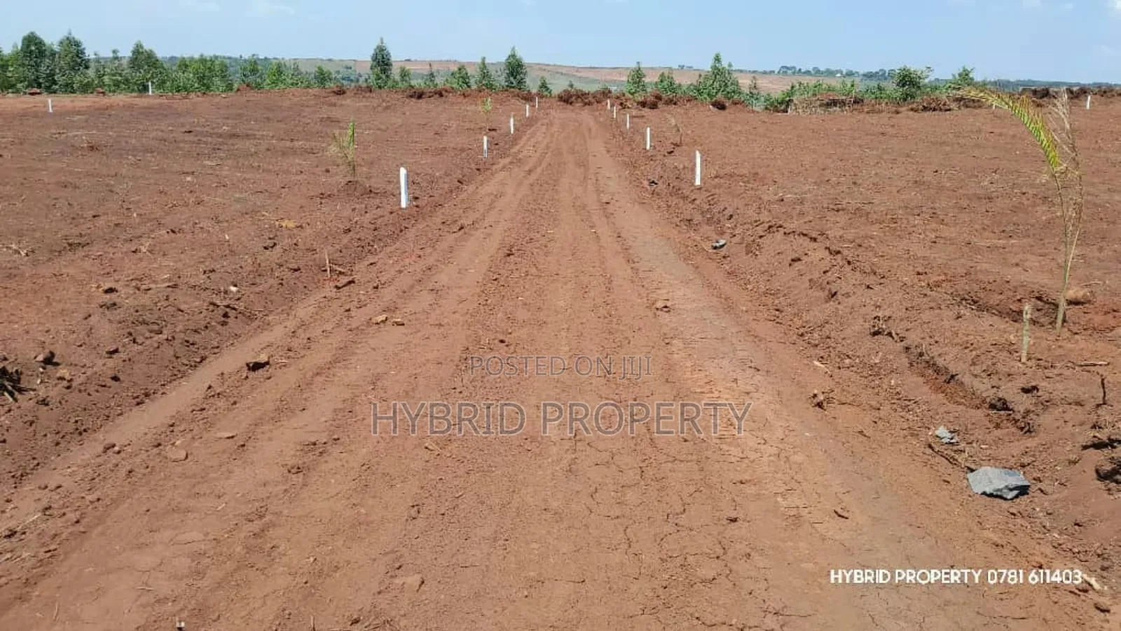 Prime Plots for Sale at Mpigi~Nsamizi Namiryango Hill View Land Estate