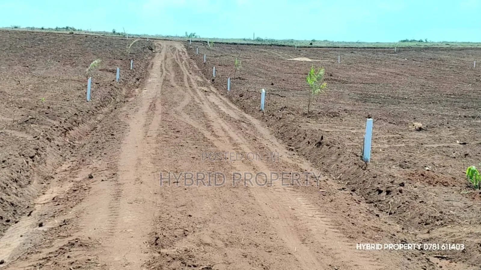 Prime Plots for Sale at Mpigi~Nsamizi Namiryango Hill View Land Estate