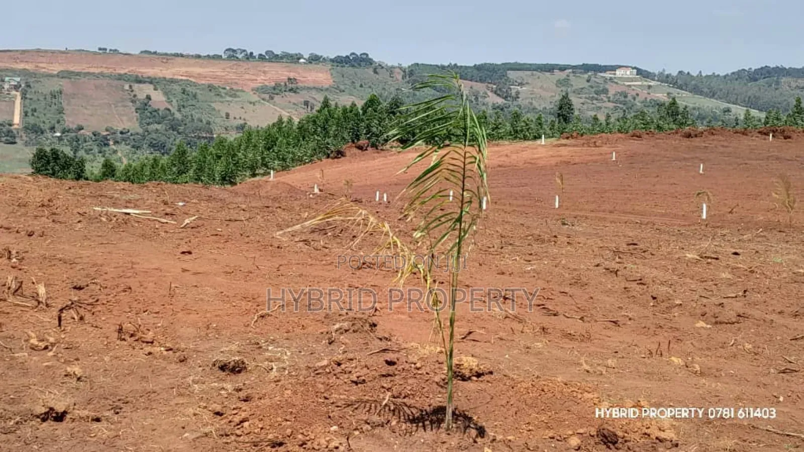 Prime Plots for Sale at Mpigi~Nsamizi Namiryango Hill View Land Estate