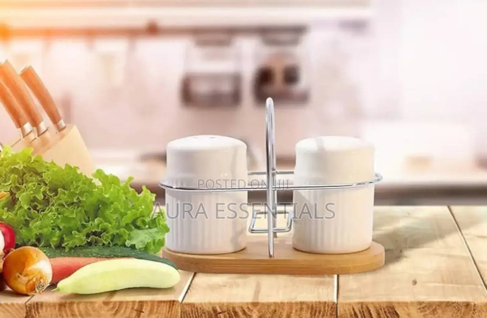 Classic Porcelain Salt and Pepper Shakers for Table