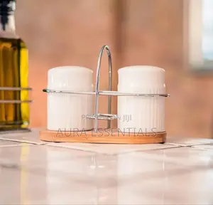 Classic Porcelain Salt and Pepper Shakers for Table