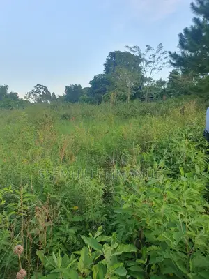 Plot for Sale in Kalangala