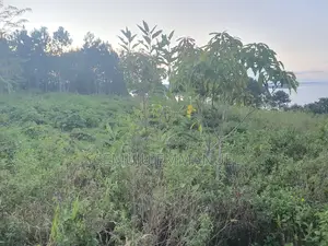 Plot for Sale in Kalangala