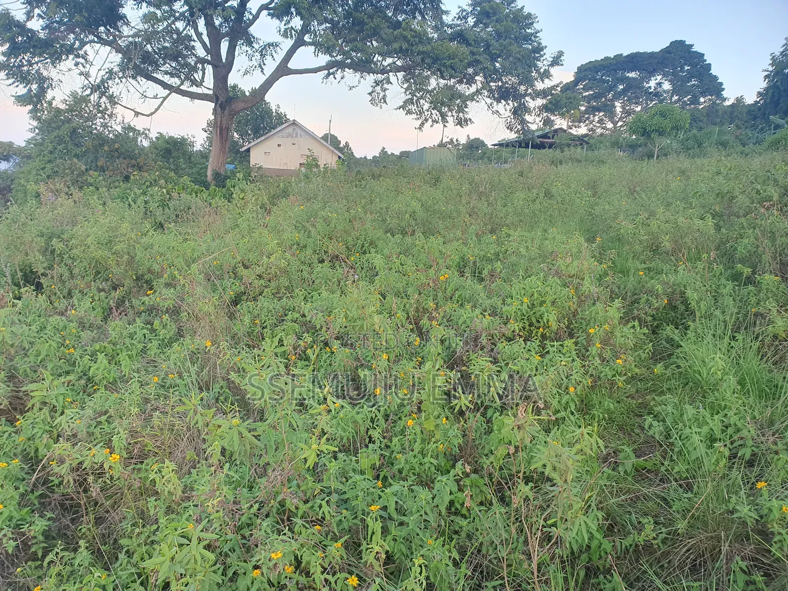 Plot for Sale in Kalangala