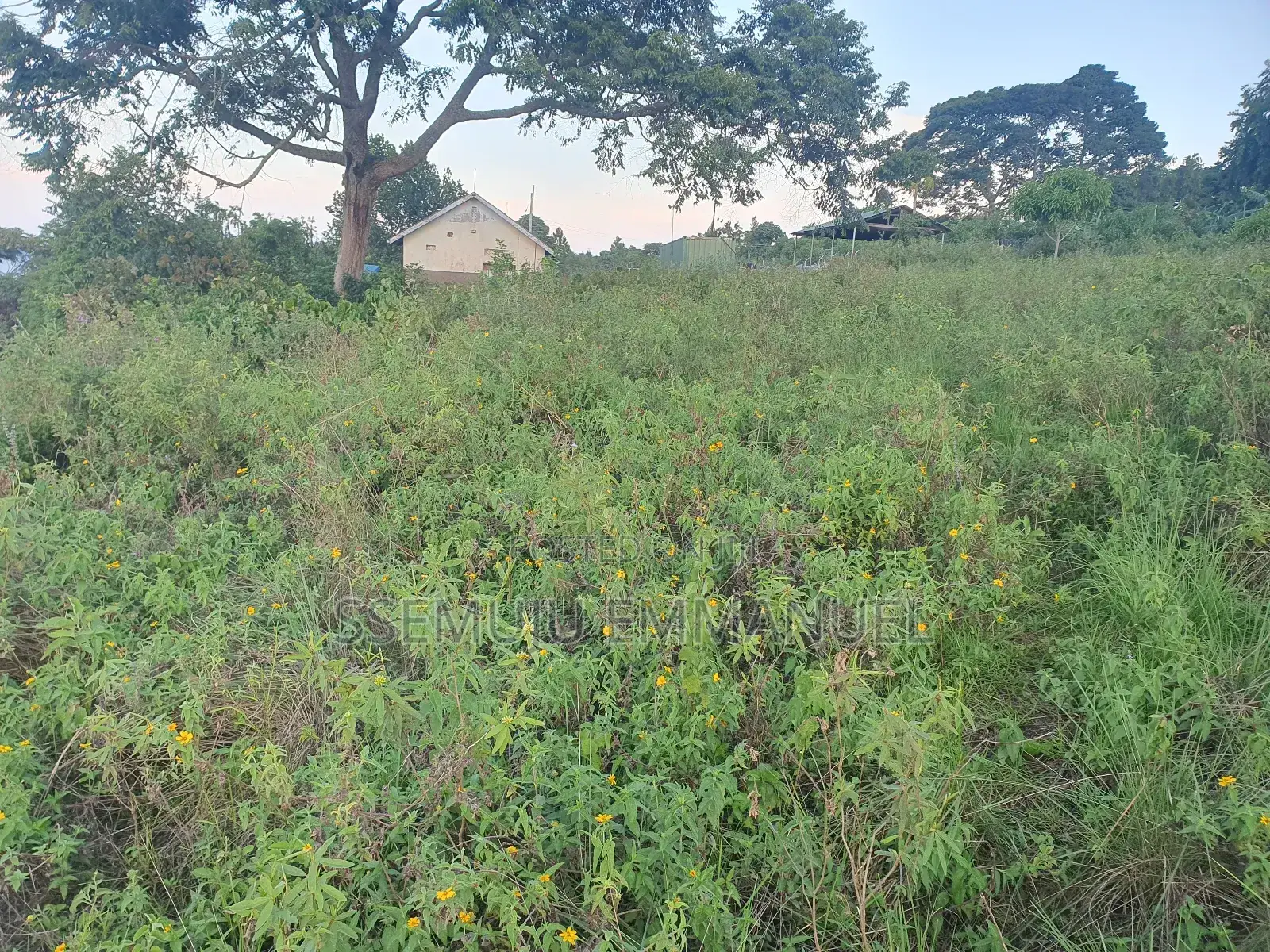 Plot for Sale in Kalangala