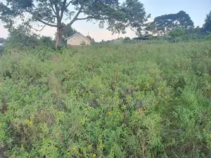 Plot for Sale in Kalangala