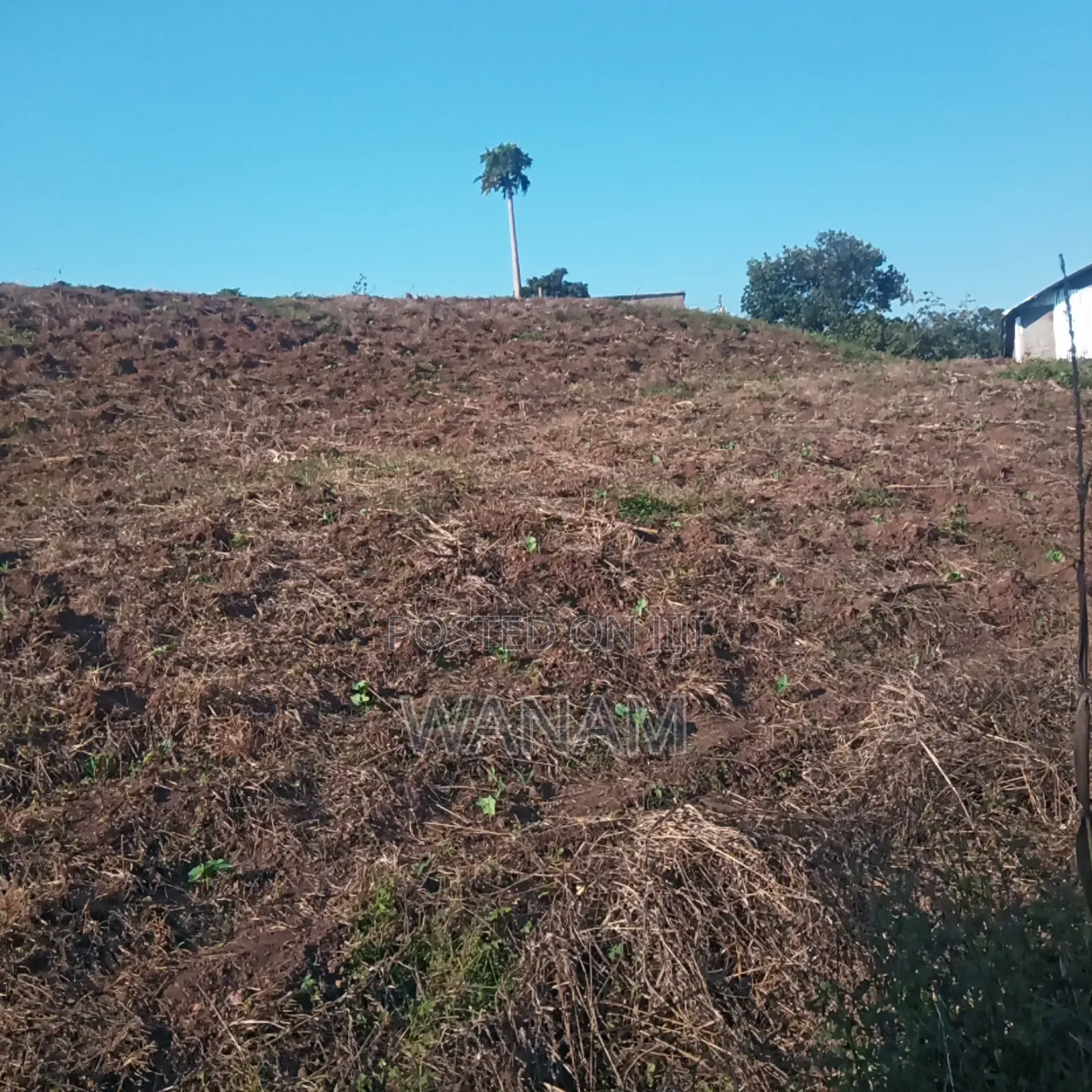 2.5 Acres in Bukasa Kirinya for Sale.