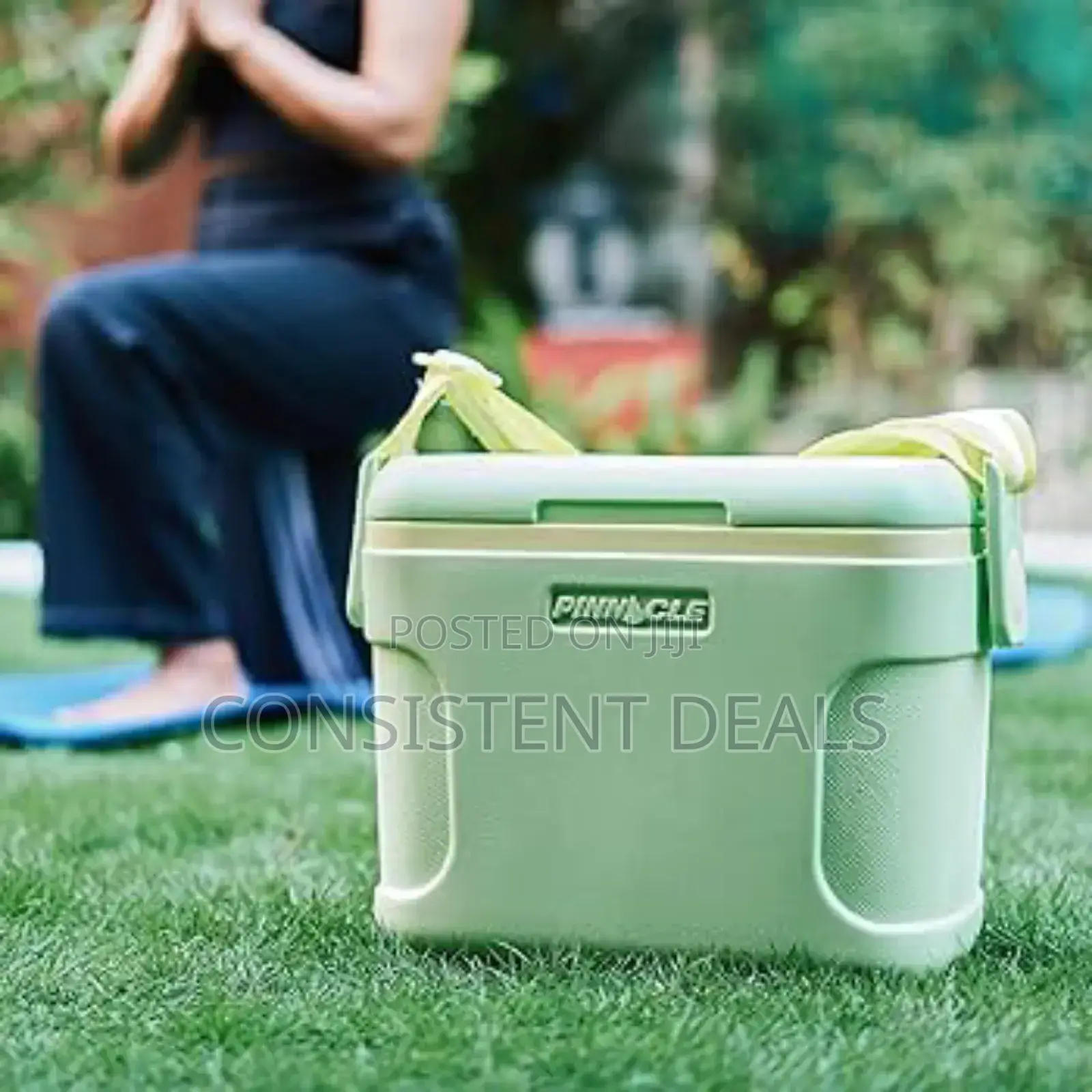 Pinnacle Insulated 8l Ice Cooler Chiller Box
