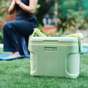 Pinnacle Insulated 8l Ice Cooler Chiller Box