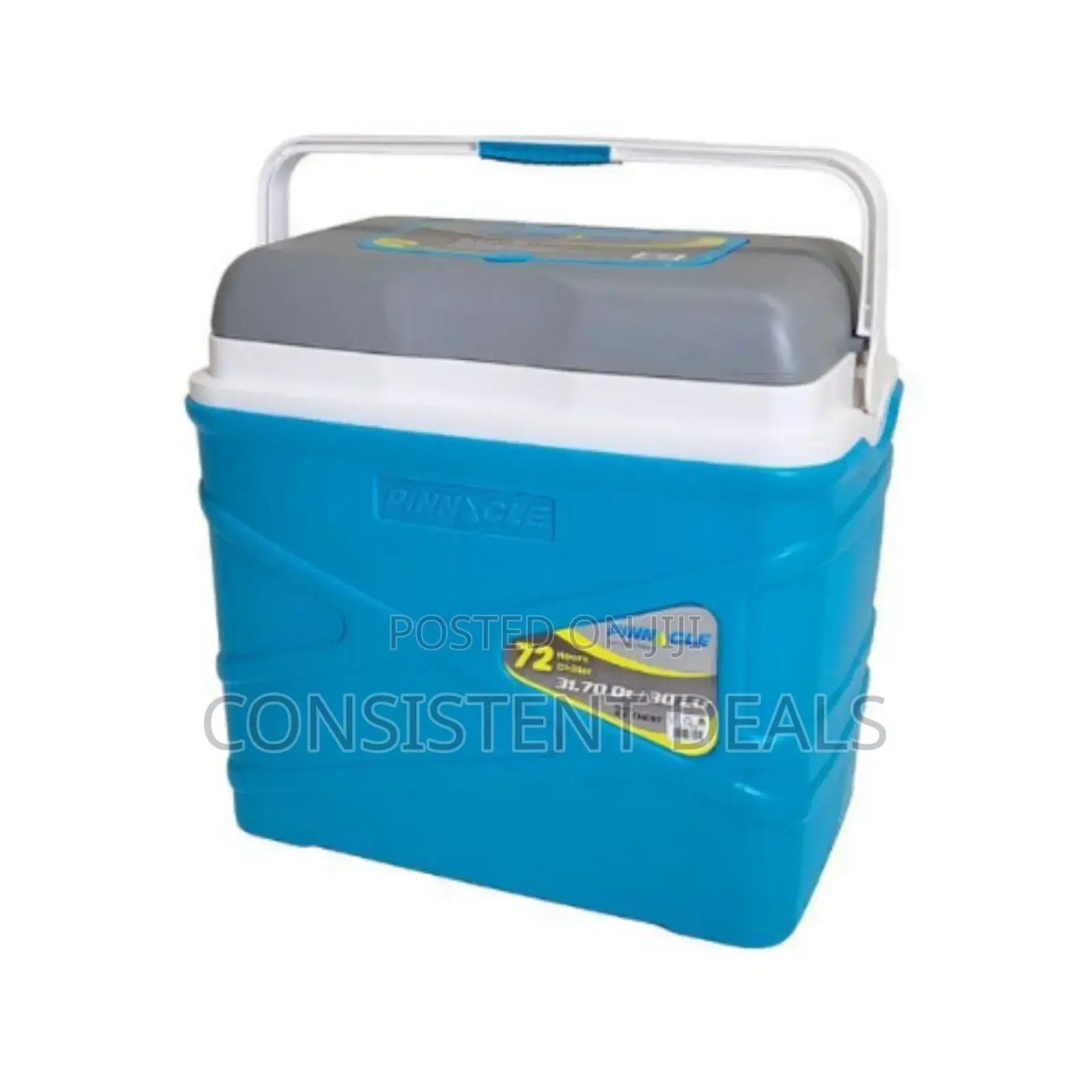 Pinnacle 30l Insulated Ice Cooler Box