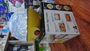 Electric Egg Cooker